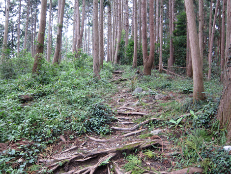 20191017hike (63)
